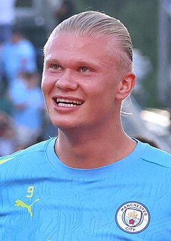 Эрлинг Холанн