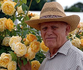 Дэвид Остин