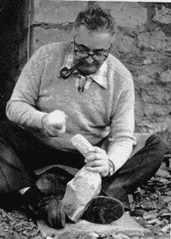 Франсуа Борд