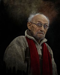 Май Вольфович Данциг