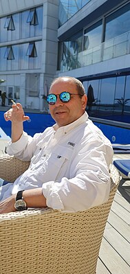 Бата Недич