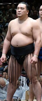 Харумафудзи Кохэй日馬富士 公平