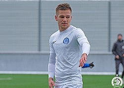 Александр Чиж