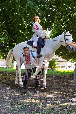 Дмитрий Васильевич Халаджи