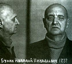 Николай Николаевич Пунин