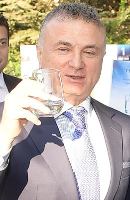 Михаил Михайлович Мирилашвили